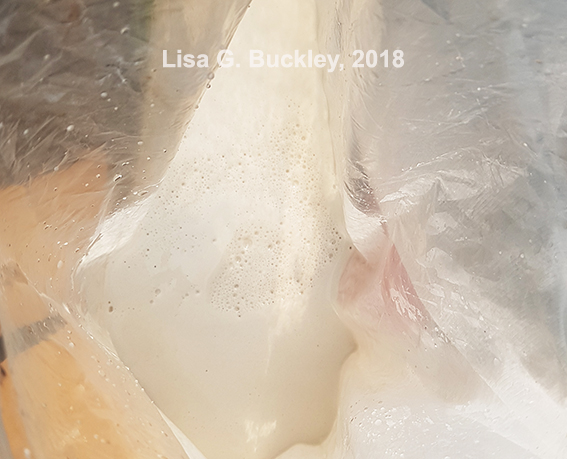 Bird track casting - air bubbles