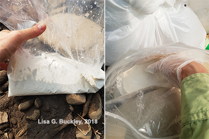 Bird track casting - mixing