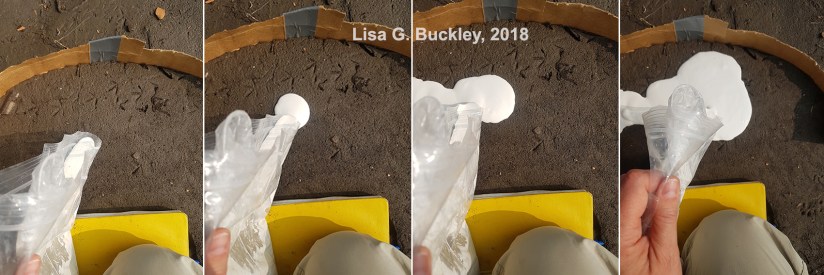 Bird track casting - pouring