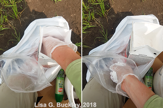 Bird track casting - scoop