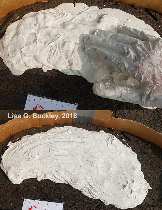 Bird track casting - strength 2