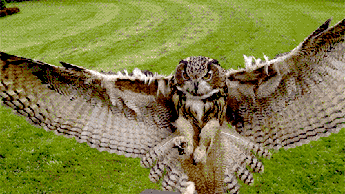 1dbb15d1a780c9b871e99315a7ae4d46