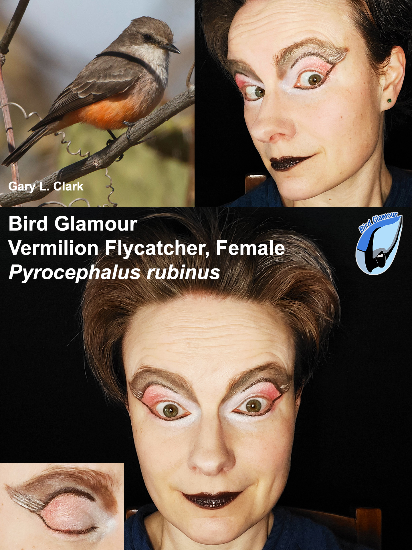 Bird Glamour Female VEFL